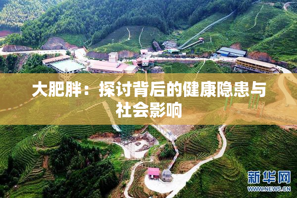大肥胖：探讨背后的健康隐患与社会影响