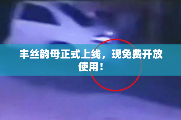 丰丝韵母正式上线，现免费开放使用！