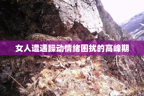 女人遭遇躁动情绪困扰的高峰期