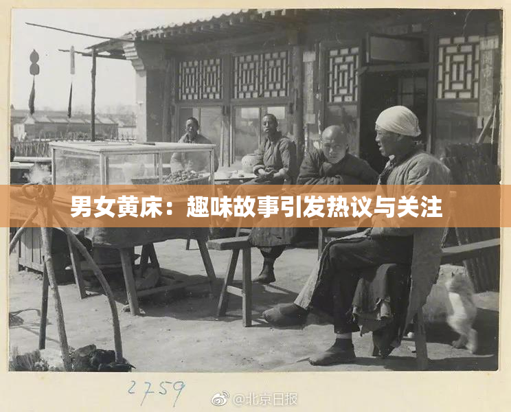 男女黄床：趣味故事引发热议与关注