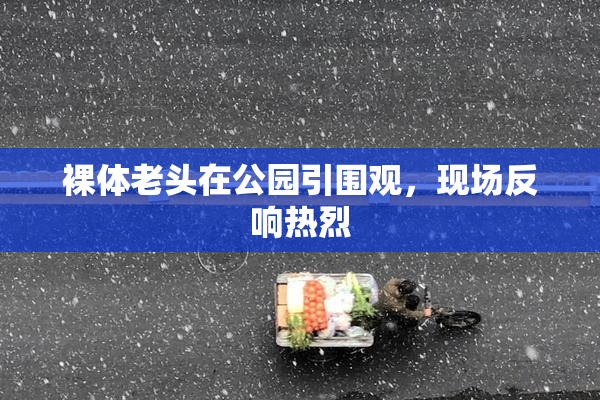 裸体老头在公园引围观，现场反响热烈