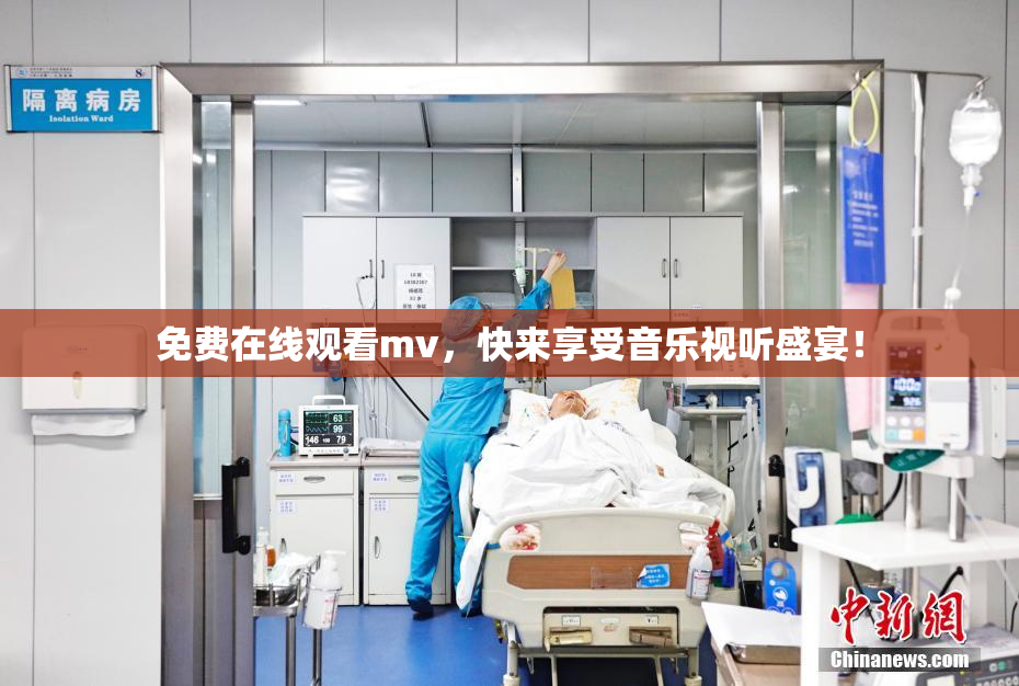 免费在线观看mv，快来享受音乐视听盛宴！