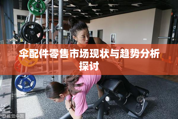 伞配件零售市场现状与趋势分析探讨