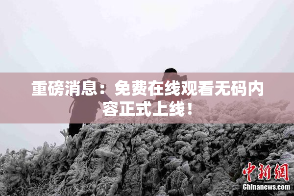 重磅消息：免费在线观看无码内容正式上线！