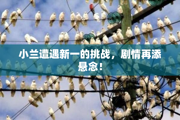 小兰遭遇新一的挑战，剧情再添悬念！
