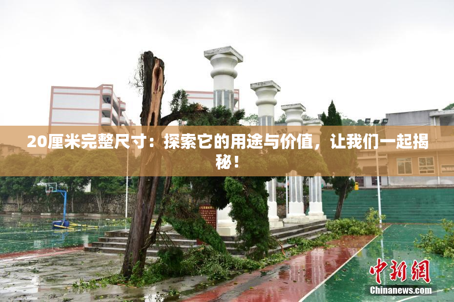 20厘米完整尺寸：探索它的用途与价值，让我们一起揭秘！