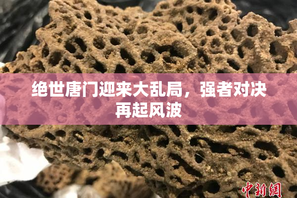 绝世唐门迎来大乱局，强者对决再起风波