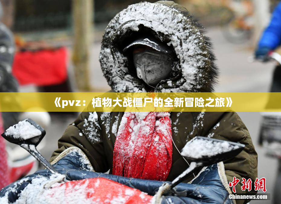 《pvz：植物大战僵尸的全新冒险之旅》