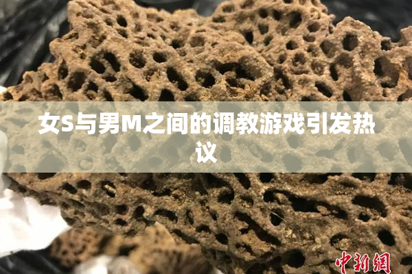 女S与男M之间的调教游戏引发热议