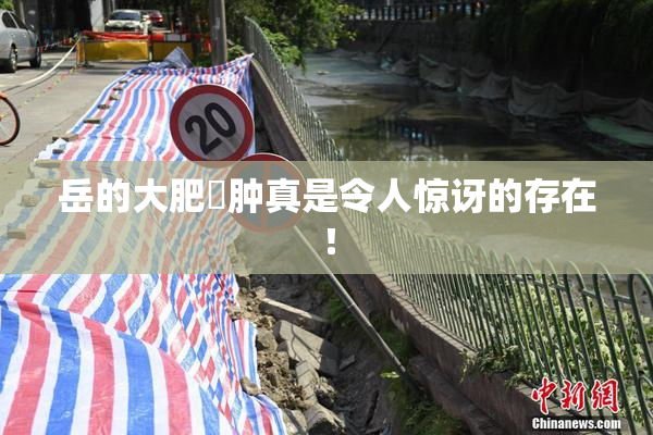 岳的大肥坹肿真是令人惊讶的存在！