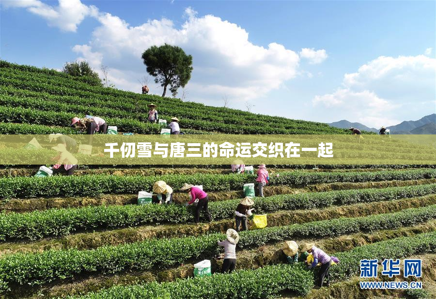 千仞雪与唐三的命运交织在一起