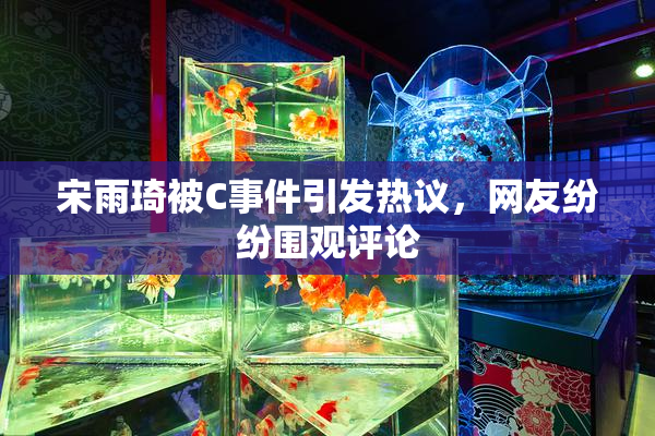 宋雨琦被C事件引发热议，网友纷纷围观评论