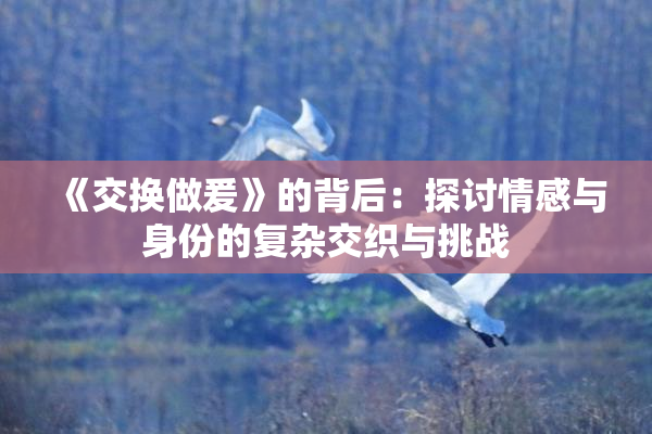《交换做爰》的背后：探讨情感与身份的复杂交织与挑战