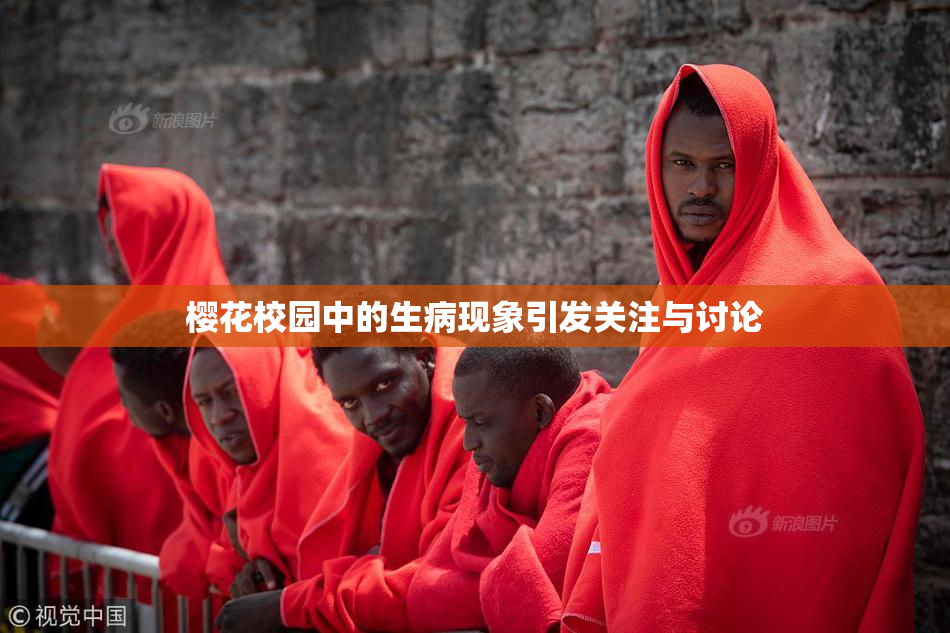 樱花校园中的生病现象引发关注与讨论