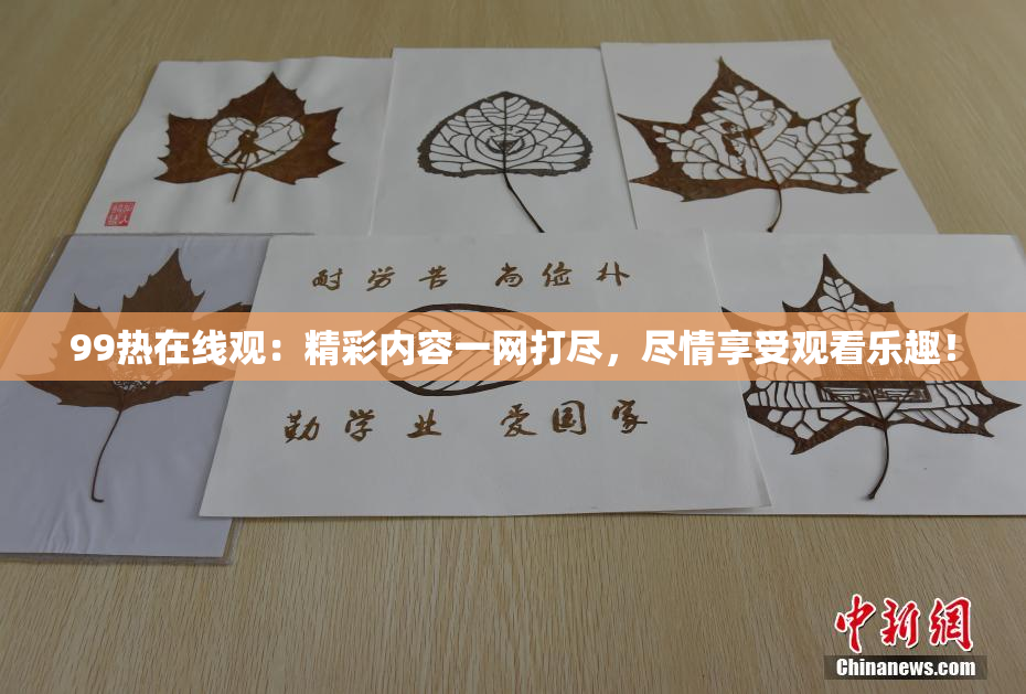 99热在线观：精彩内容一网打尽，尽情享受观看乐趣！