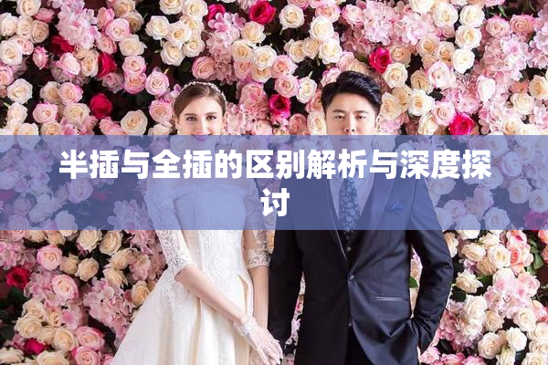 半插与全插的区别解析与深度探讨