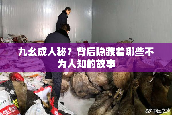 九幺成人秘？背后隐藏着哪些不为人知的故事