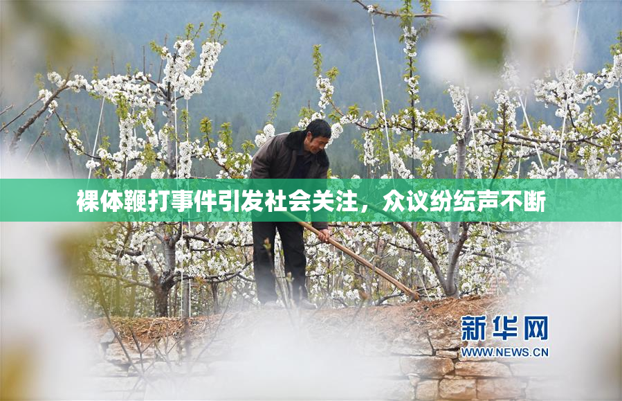 裸体鞭打事件引发社会关注，众议纷纭声不断