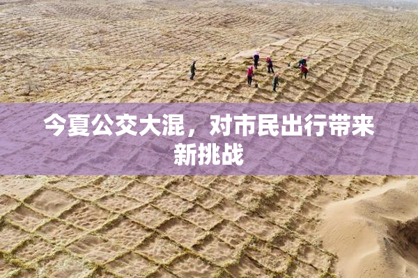 今夏公交大混，对市民出行带来新挑战