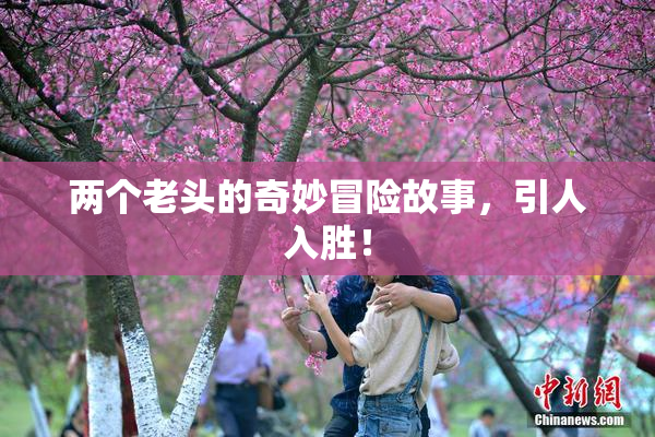 两个老头的奇妙冒险故事，引人入胜！