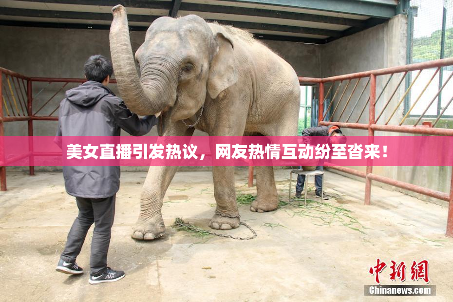 美女直播引发热议，网友热情互动纷至沓来！
