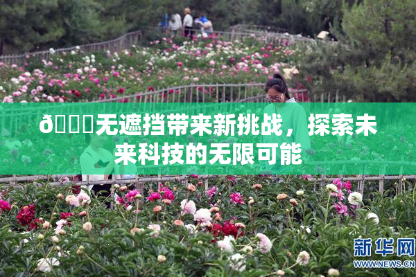 🔞无遮挡带来新挑战，探索未来科技的无限可能