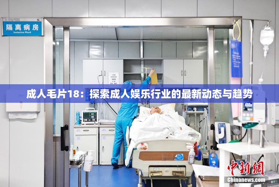 成人毛片18：探索成人娱乐行业的最新动态与趋势