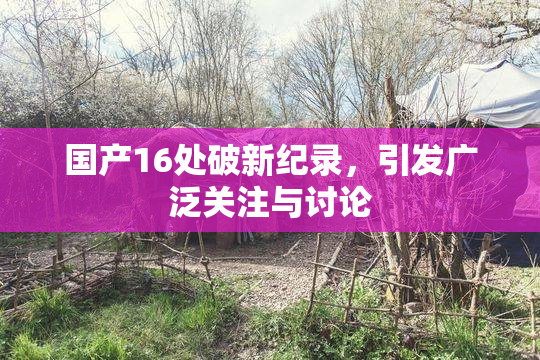 国产16处破新纪录，引发广泛关注与讨论