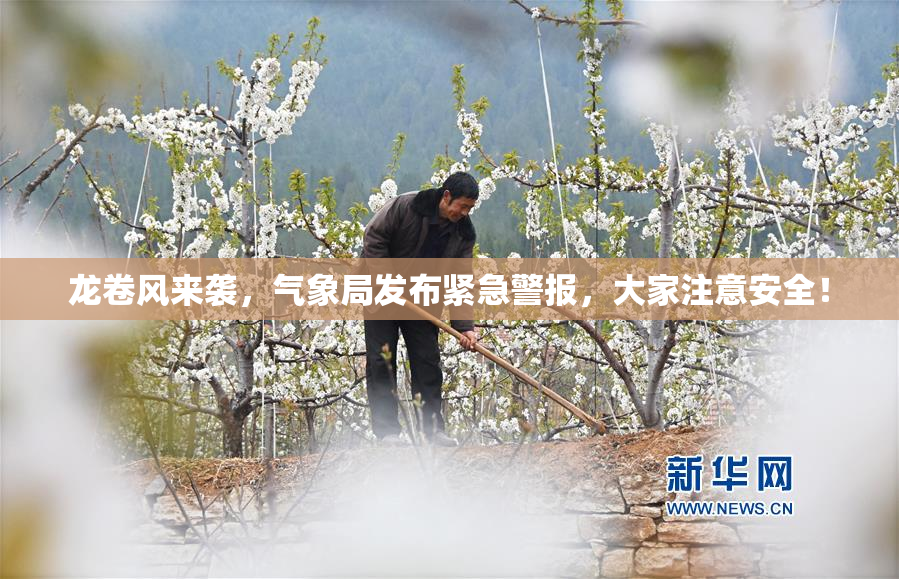 龙卷风来袭，气象局发布紧急警报，大家注意安全！