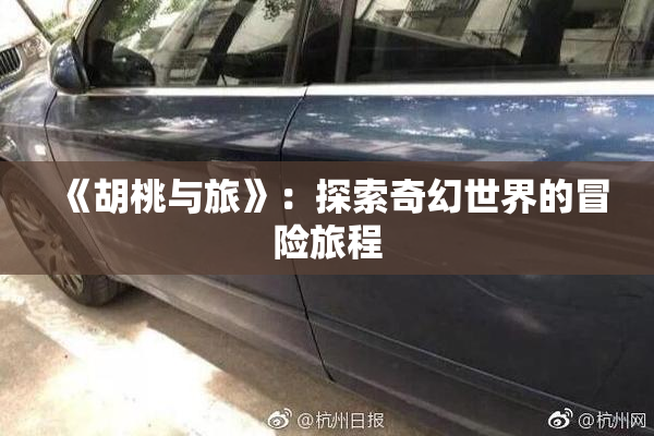 《胡桃与旅》：探索奇幻世界的冒险旅程