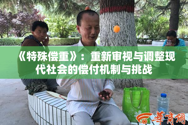《特殊偿重》：重新审视与调整现代社会的偿付机制与挑战
