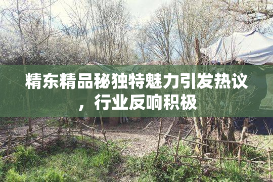 精东精品秘独特魅力引发热议，行业反响积极