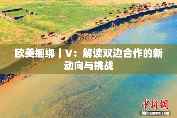 欧美捆绑丨V：解读双边合作的新动向与挑战
