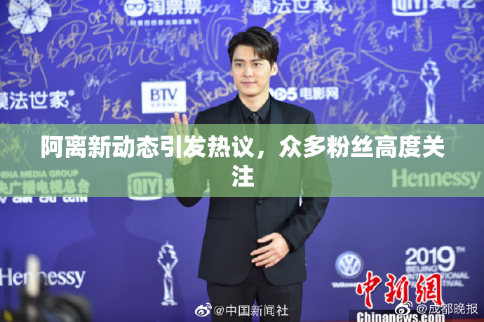 阿离新动态引发热议，众多粉丝高度关注