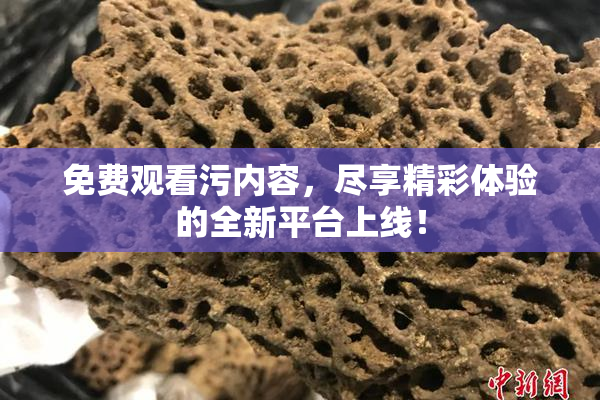 免费观看污内容，尽享精彩体验的全新平台上线！