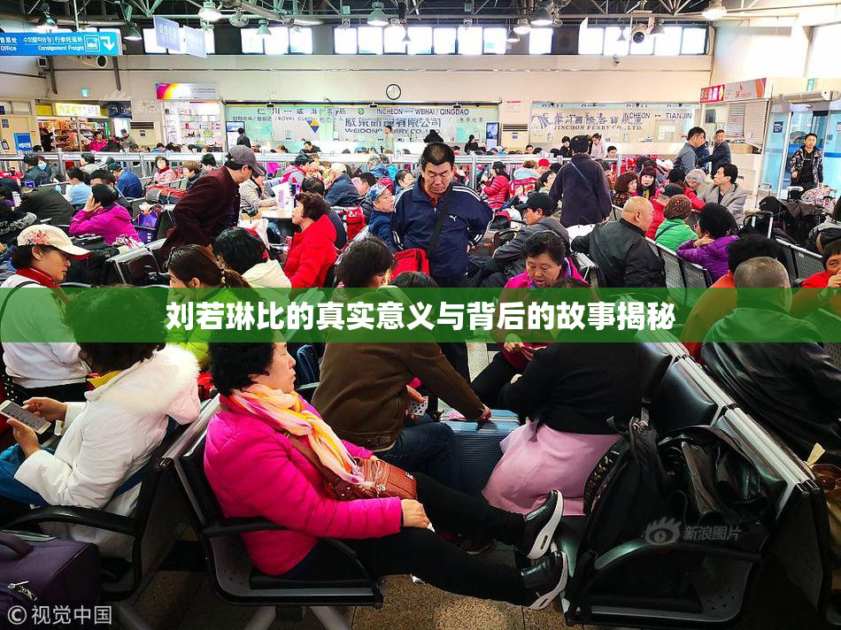 刘若琳比的真实意义与背后的故事揭秘