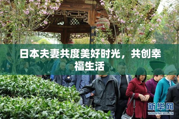 日本夫妻共度美好时光，共创幸福生活
