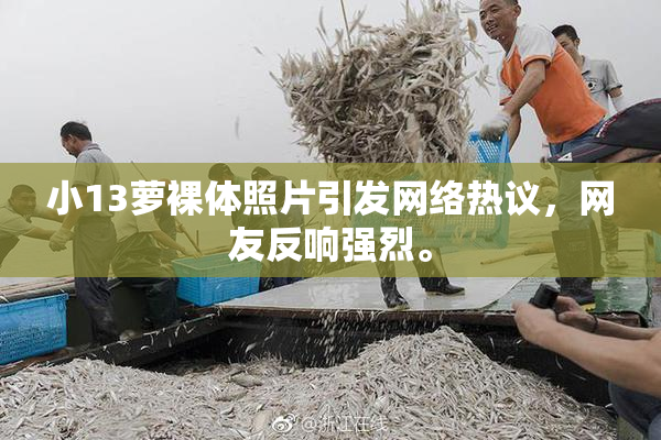 小13萝裸体照片引发网络热议，网友反响强烈。