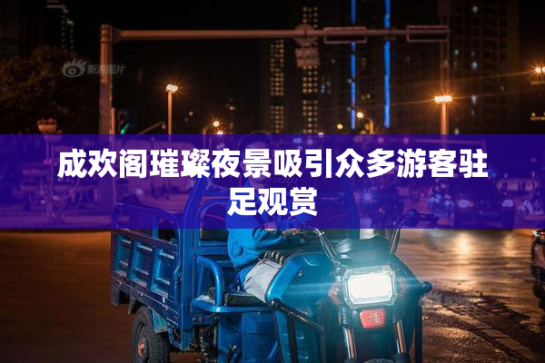 成欢阁璀璨夜景吸引众多游客驻足观赏