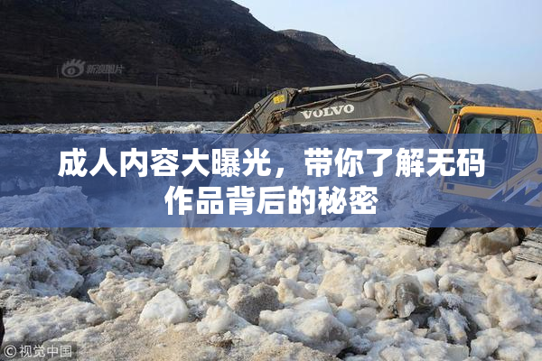 成人内容大曝光，带你了解无码作品背后的秘密