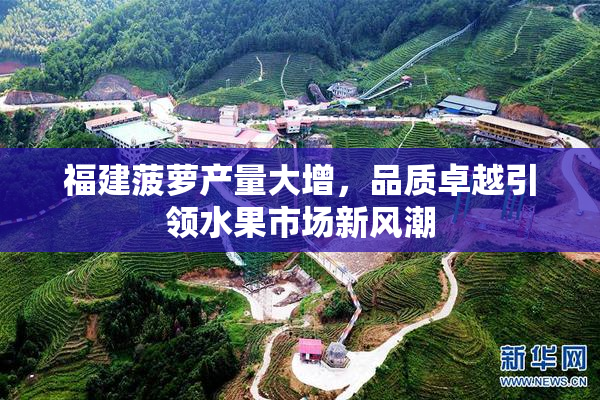 福建菠萝产量大增，品质卓越引领水果市场新风潮