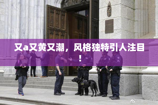 又a又黄又潮，风格独特引人注目！