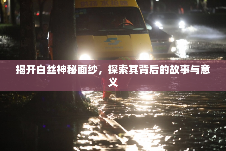 揭开白丝神秘面纱，探索其背后的故事与意义