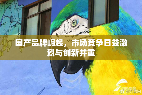 国产品牌崛起，市场竞争日益激烈与创新并重