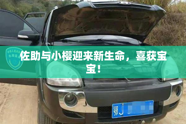 佐助与小樱迎来新生命，喜获宝宝！