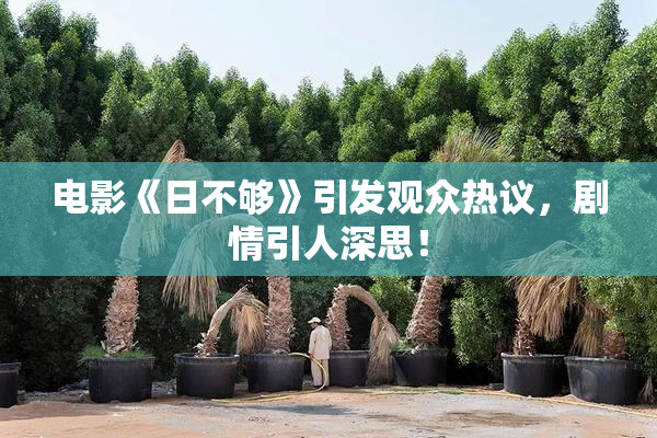 电影《日不够》引发观众热议，剧情引人深思！