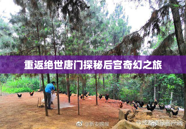重返绝世唐门探秘后宫奇幻之旅