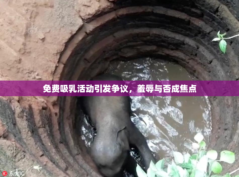 免费吸乳活动引发争议，羞辱与否成焦点
