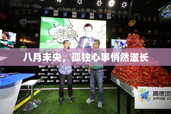 八月未央，孤独心事悄然滋长
