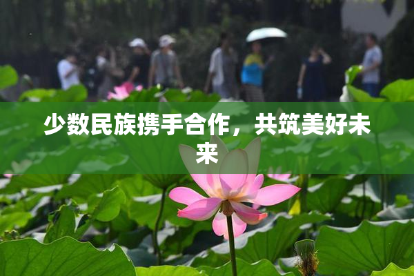 少数民族携手合作，共筑美好未来